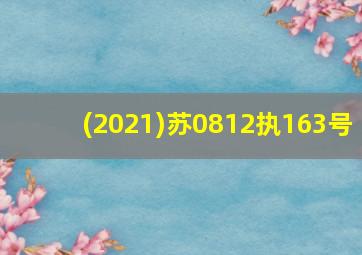 (2021)苏0812执163号