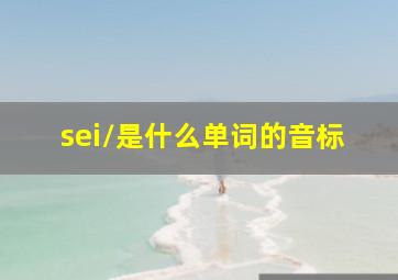 /sei/是什么单词的音标