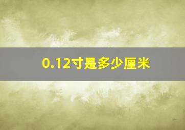 0.12寸是多少厘米