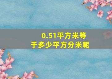 0.51平方米等于多少平方分米呢