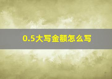 0.5大写金额怎么写