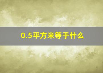 0.5平方米等于什么