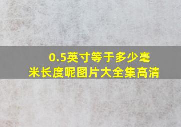 0.5英寸等于多少毫米长度呢图片大全集高清