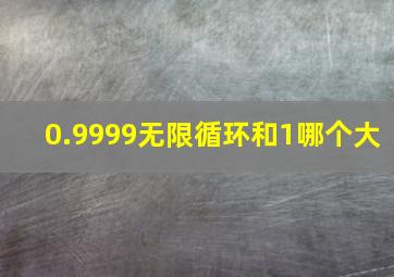 0.9999无限循环和1哪个大