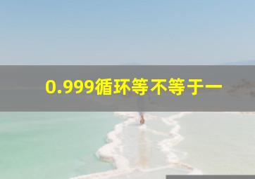 0.999循环等不等于一