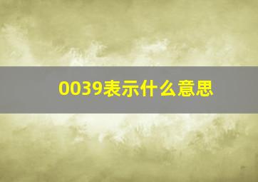 0039表示什么意思