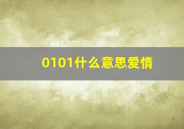 0101什么意思爱情