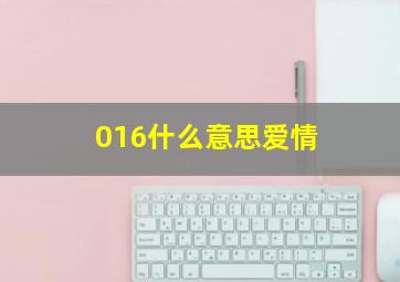 016什么意思爱情