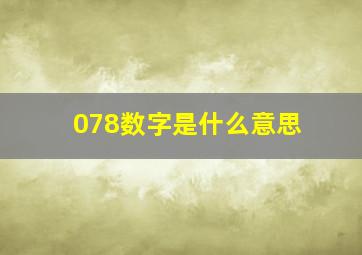 078数字是什么意思