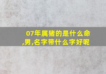 07年属猪的是什么命,男,名字带什么字好呢