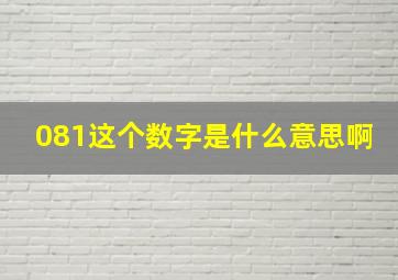 081这个数字是什么意思啊