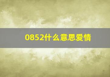 0852什么意思爱情