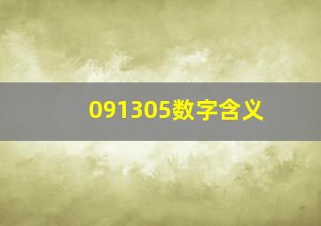 091305数字含义