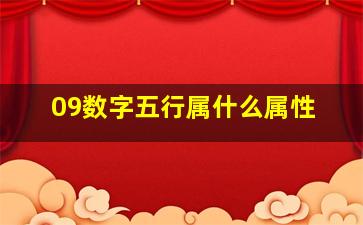 09数字五行属什么属性