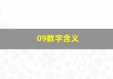 09数字含义