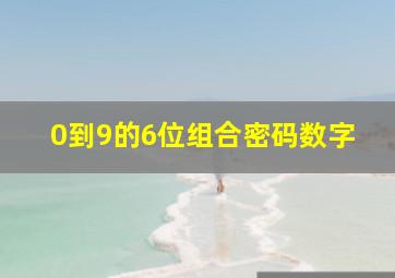 0到9的6位组合密码数字