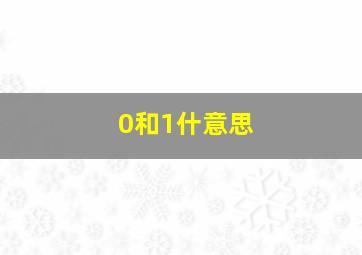 0和1什意思