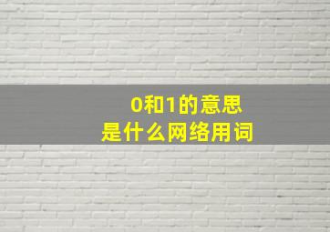 0和1的意思是什么网络用词