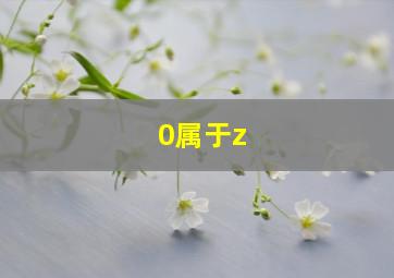 0属于z