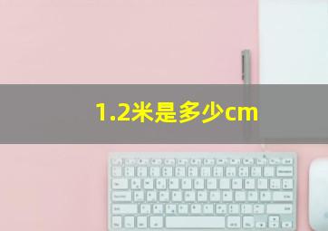 1.2米是多少cm