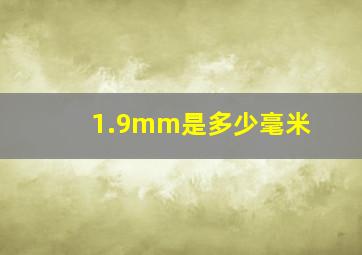 1.9mm是多少毫米