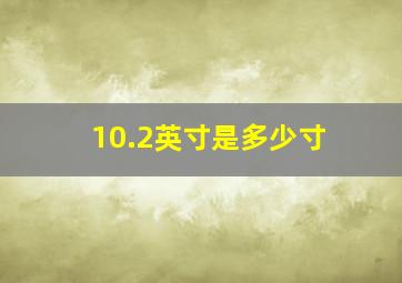 10.2英寸是多少寸