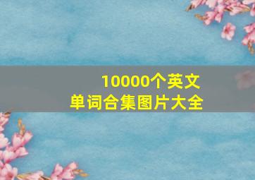 10000个英文单词合集图片大全