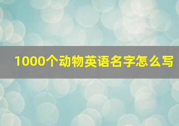 1000个动物英语名字怎么写