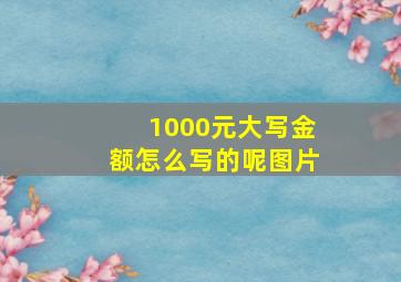 1000元大写金额怎么写的呢图片