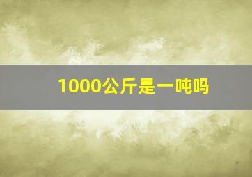 1000公斤是一吨吗