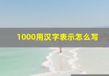 1000用汉字表示怎么写