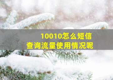 10010怎么短信查询流量使用情况呢