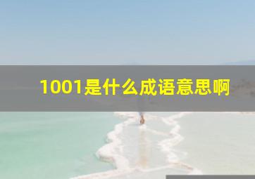 1001是什么成语意思啊