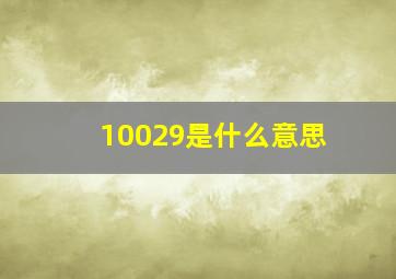 10029是什么意思