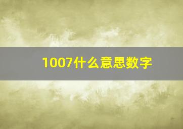 1007什么意思数字