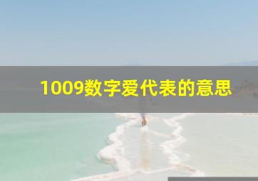 1009数字爱代表的意思