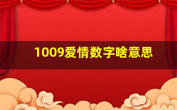 1009爱情数字啥意思