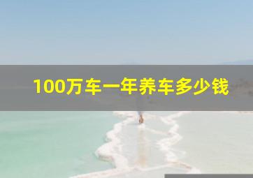 100万车一年养车多少钱