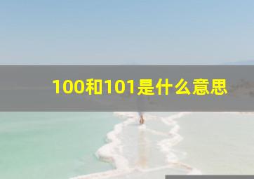 100和101是什么意思