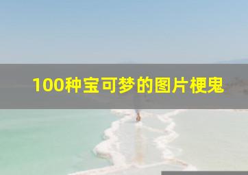 100种宝可梦的图片梗鬼