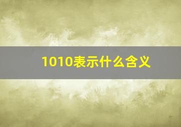 1010表示什么含义