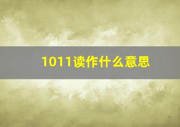 1011读作什么意思