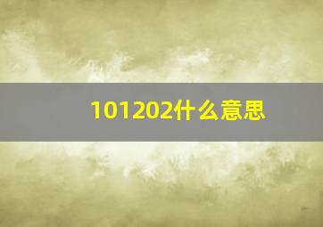 101202什么意思