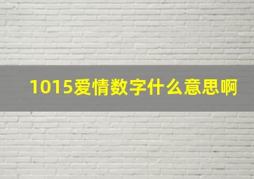 1015爱情数字什么意思啊