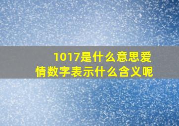 1017是什么意思爱情数字表示什么含义呢