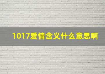 1017爱情含义什么意思啊