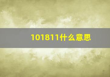 101811什么意思