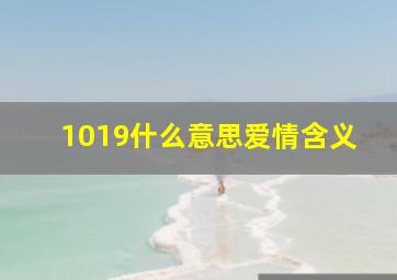 1019什么意思爱情含义