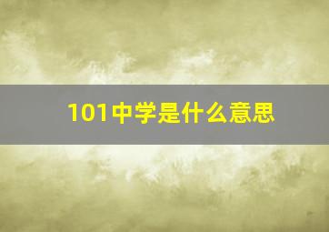 101中学是什么意思