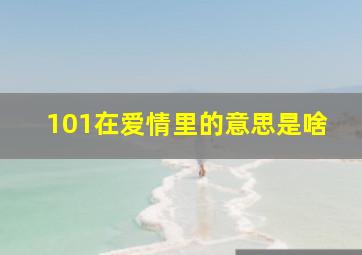 101在爱情里的意思是啥